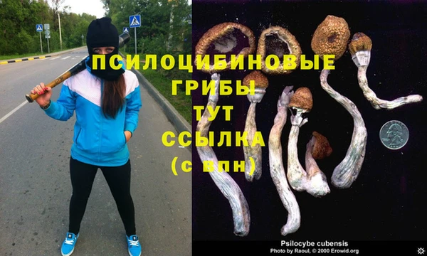 марихуана Кодинск