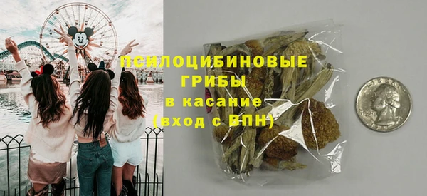 ALPHA PVP Козельск